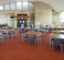 Forbo Marmoleum Decibel on Order 320335 henna фото 2 | FLOORDEALER